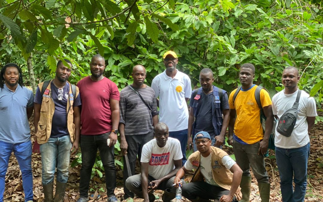 Mission de durabilité et productivité de TONY’S OPEN CHAIN Côte d’Ivoire du 23 juillet au 02 août 2024