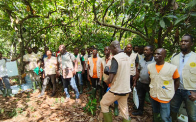 Lancement du Programme Productivité TOC à Divo